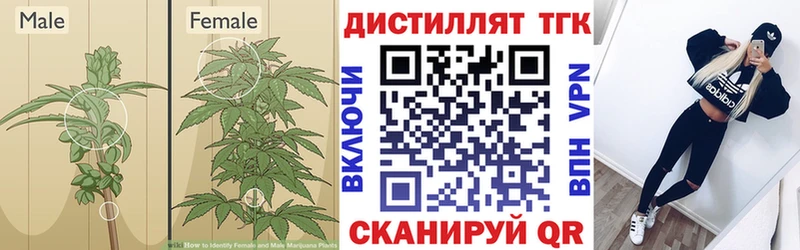 Дистиллят ТГК вейп  Любим 